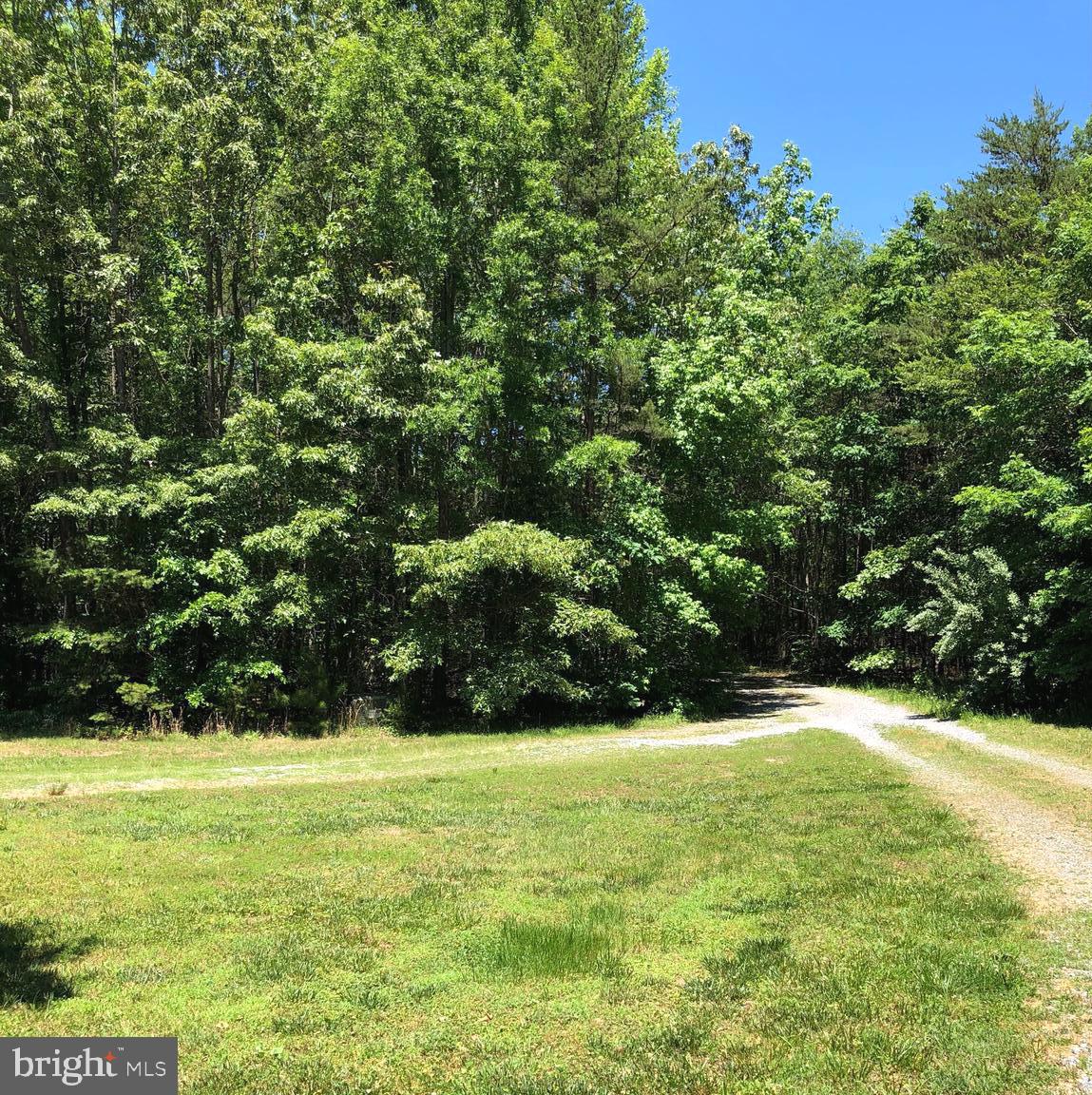 10000 Hollo Way Partlow, VA 22534 - Photo 42 of 47 front driveway