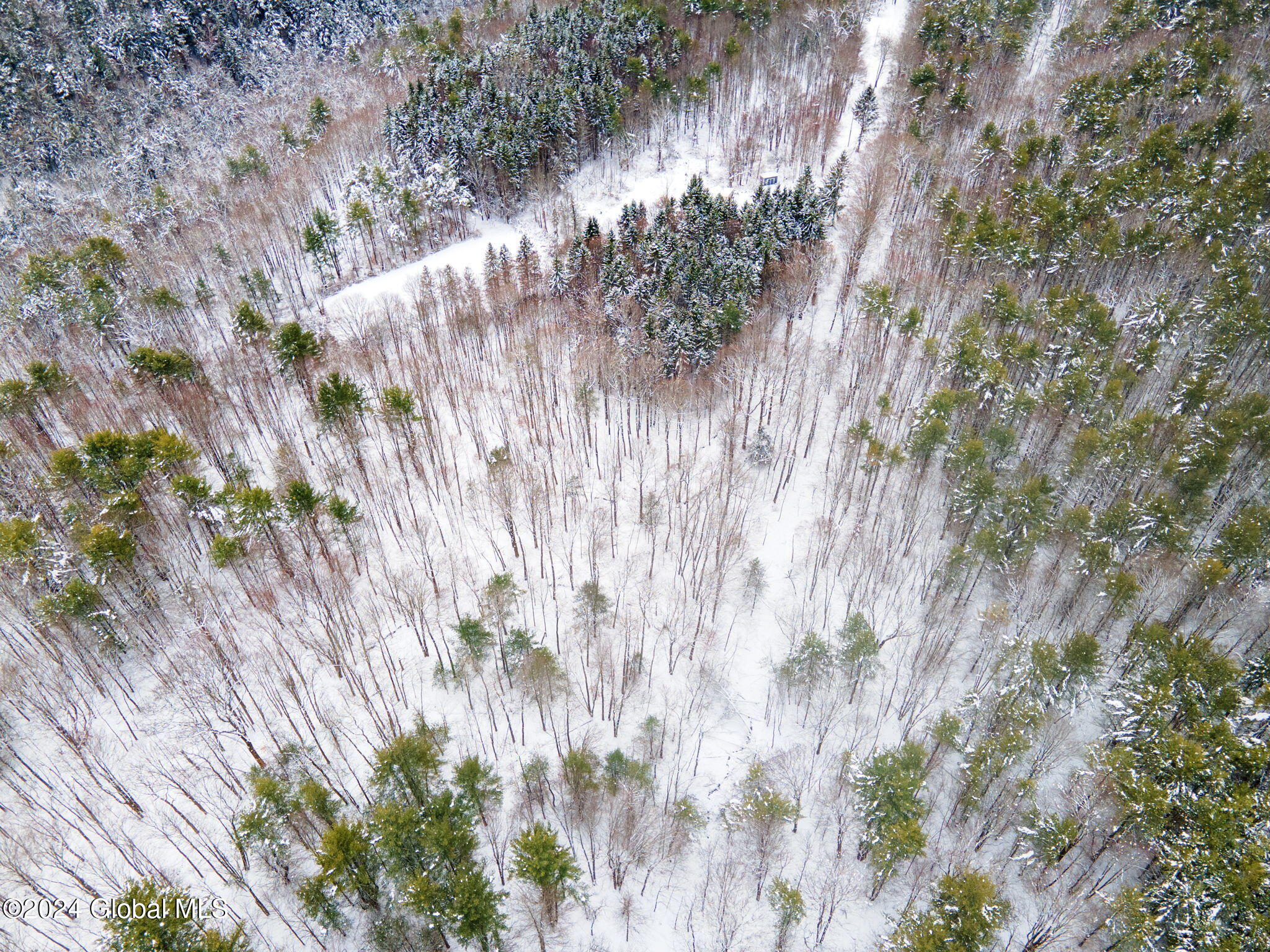 L11 Bassler Road Middleburgh, NY 12122 - Photo 11 of 15 4-BasslerRd_04