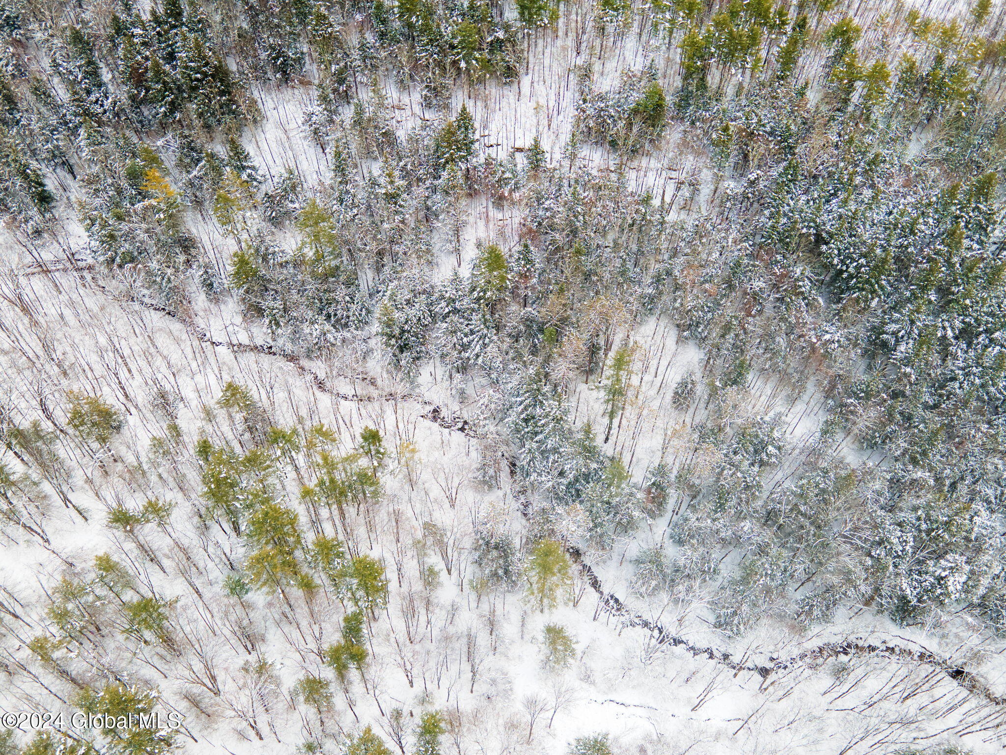 L11 Bassler Road Middleburgh, NY 12122 - Photo 12 of 15 5-BasslerRd_05