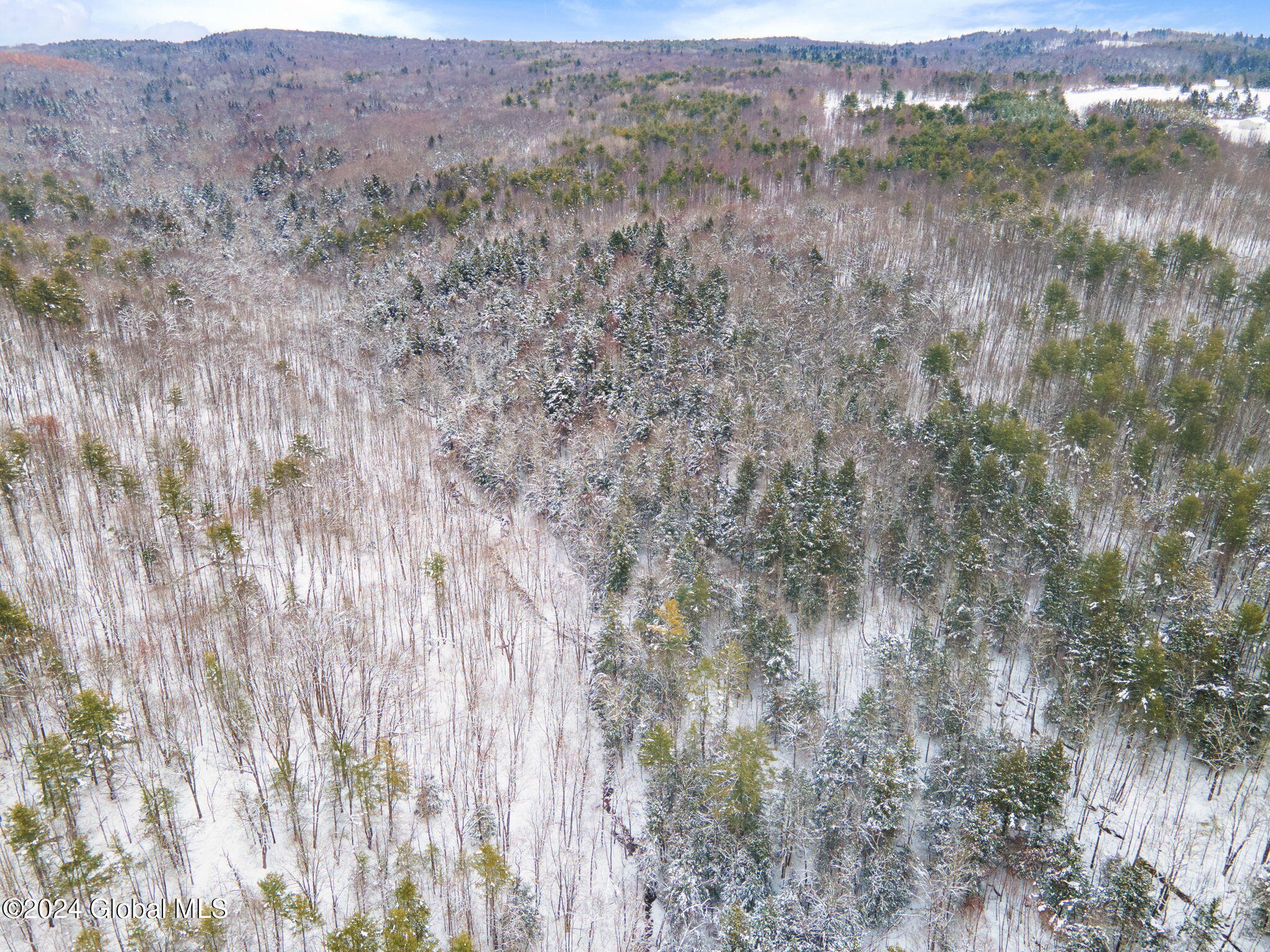 L11 Bassler Road Middleburgh, NY 12122 - Photo 13 of 15 6-BasslerRd_06