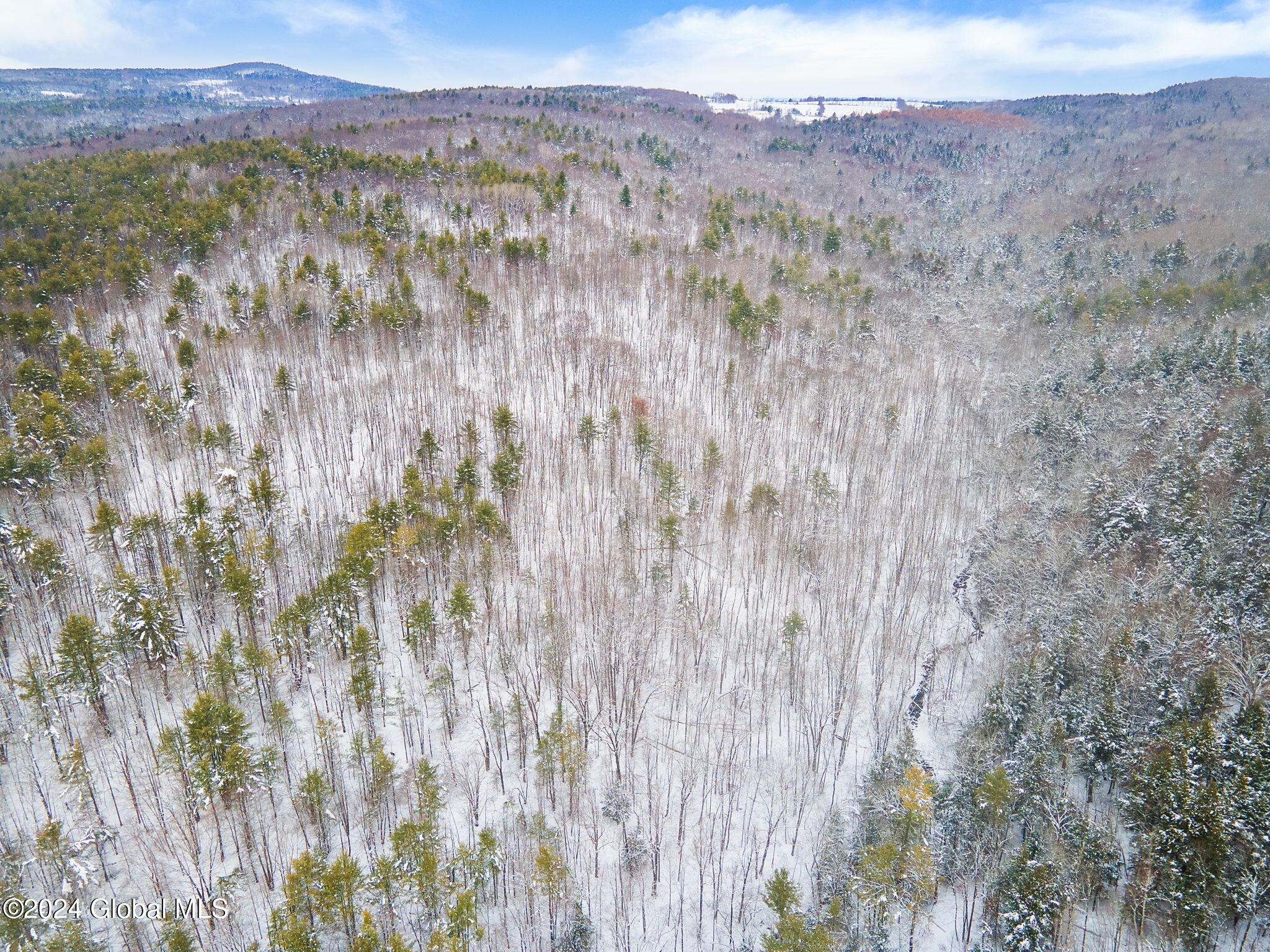 L11 Bassler Road Middleburgh, NY 12122 - Photo 14 of 15 7-BasslerRd_07