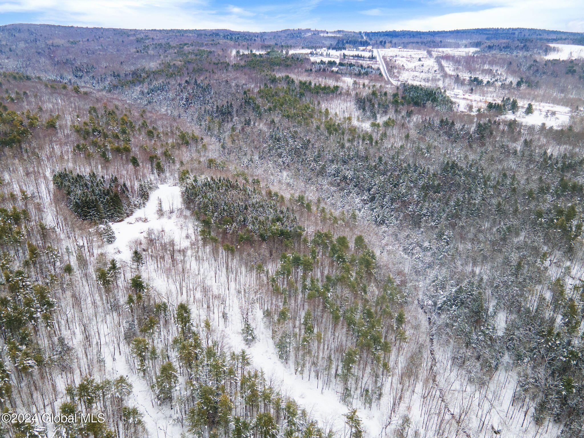 L11 Bassler Road Middleburgh, NY 12122 - Photo 15 of 15 11-BasslerRd_11