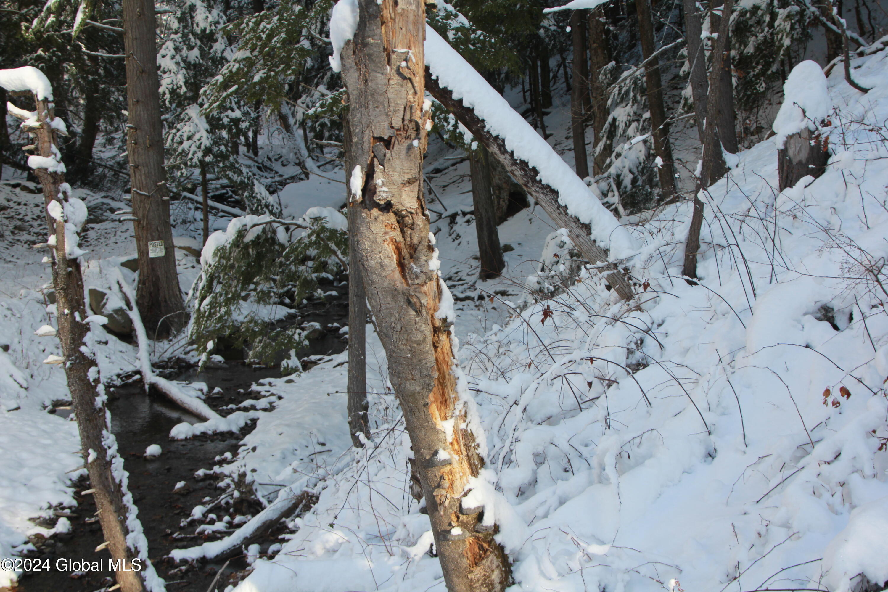 L11 Bassler Road Middleburgh, NY 12122 - Photo 3 of 15 IMG_3123