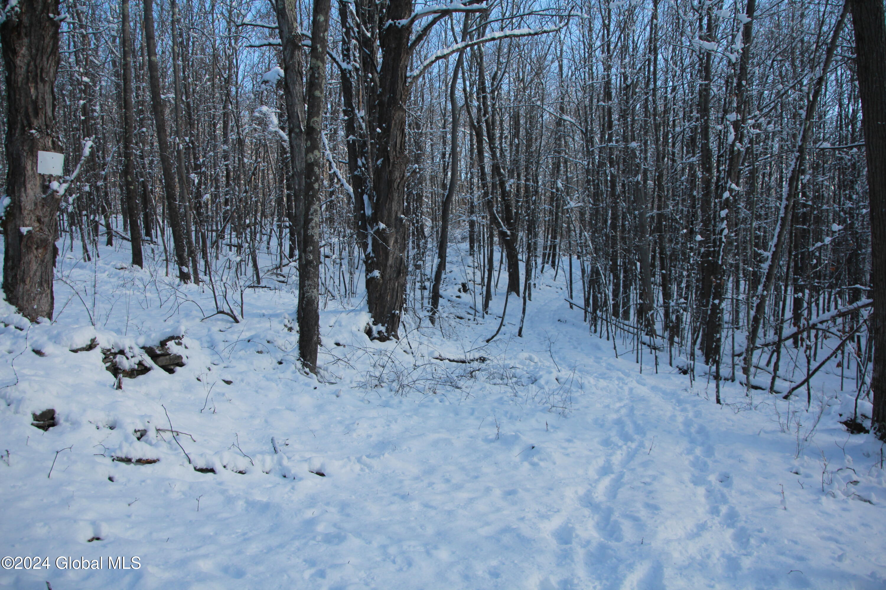 L11 Bassler Road Middleburgh, NY 12122 - Photo 4 of 15 IMG_3113