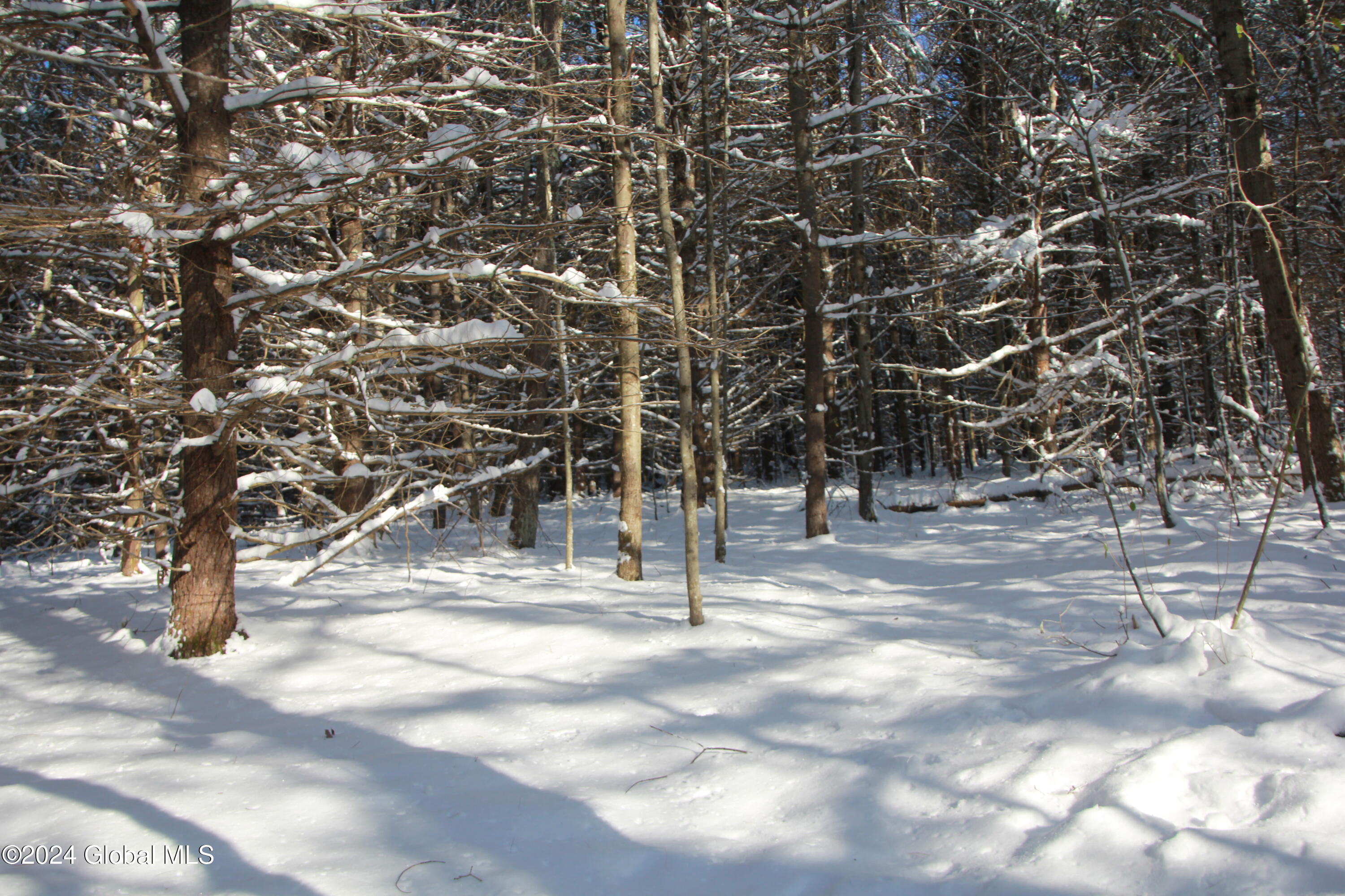 L11 Bassler Road Middleburgh, NY 12122 - Photo 5 of 15 IMG_3118