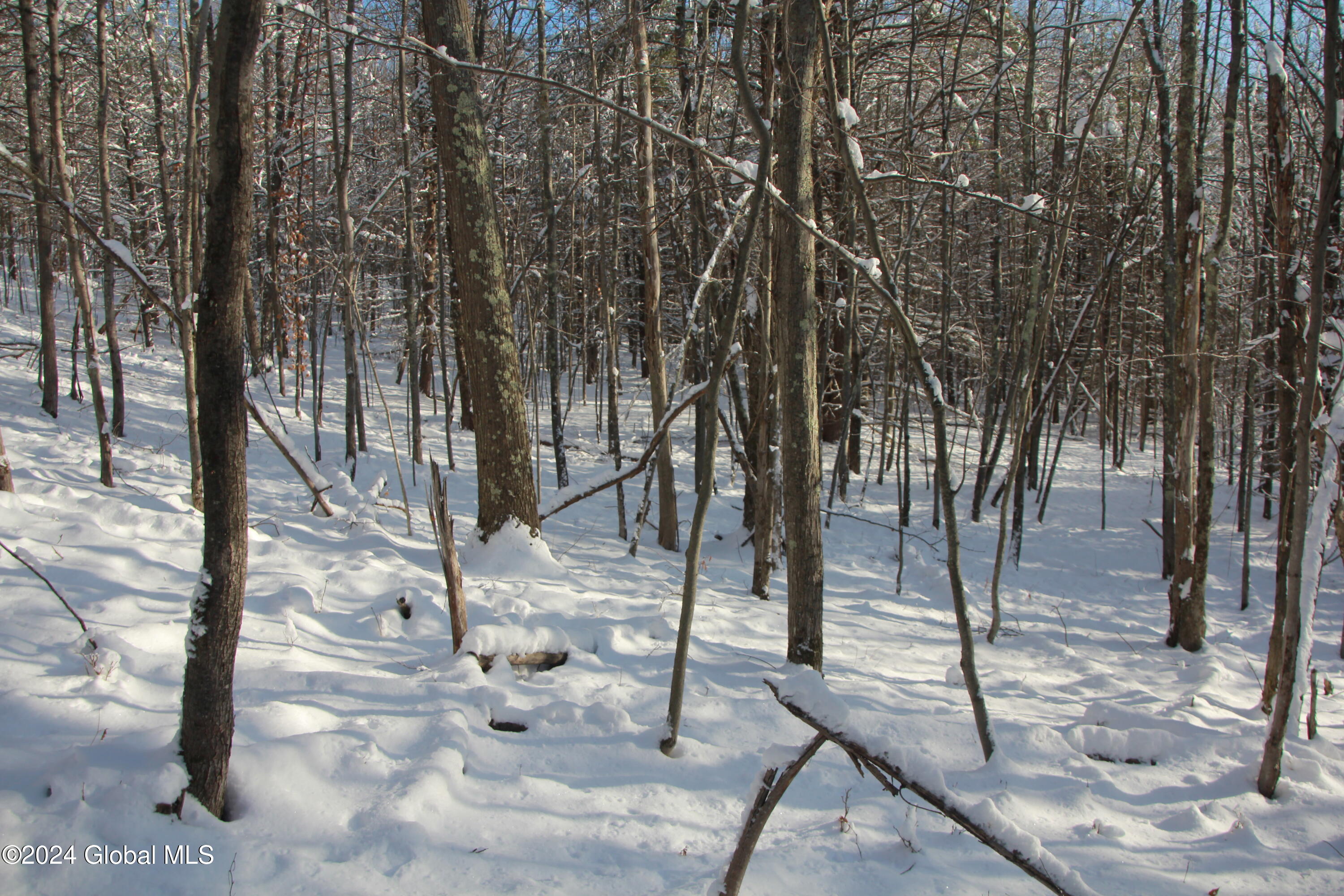 L11 Bassler Road Middleburgh, NY 12122 - Photo 6 of 15 IMG_3116