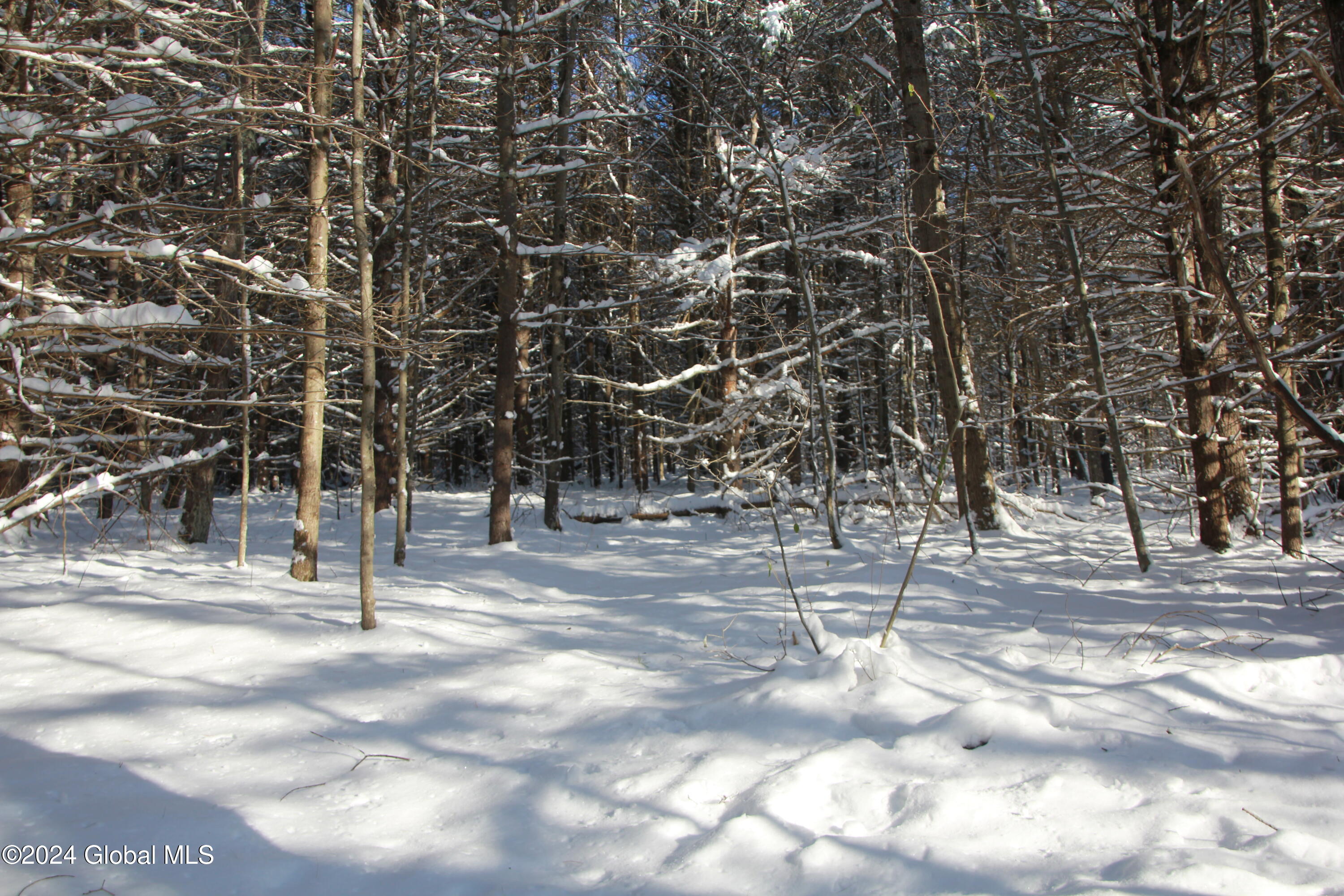 L11 Bassler Road Middleburgh, NY 12122 - Photo 7 of 15 IMG_3117