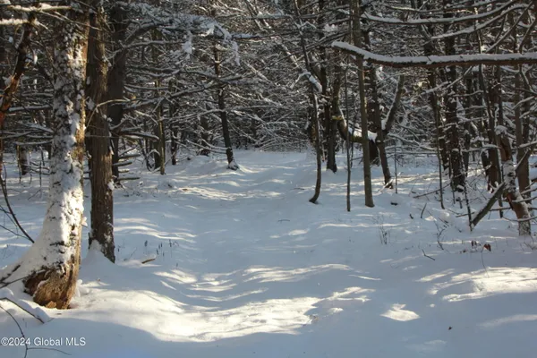 $179,900 | L11 Bassler Road, Middleburgh, NY 12122