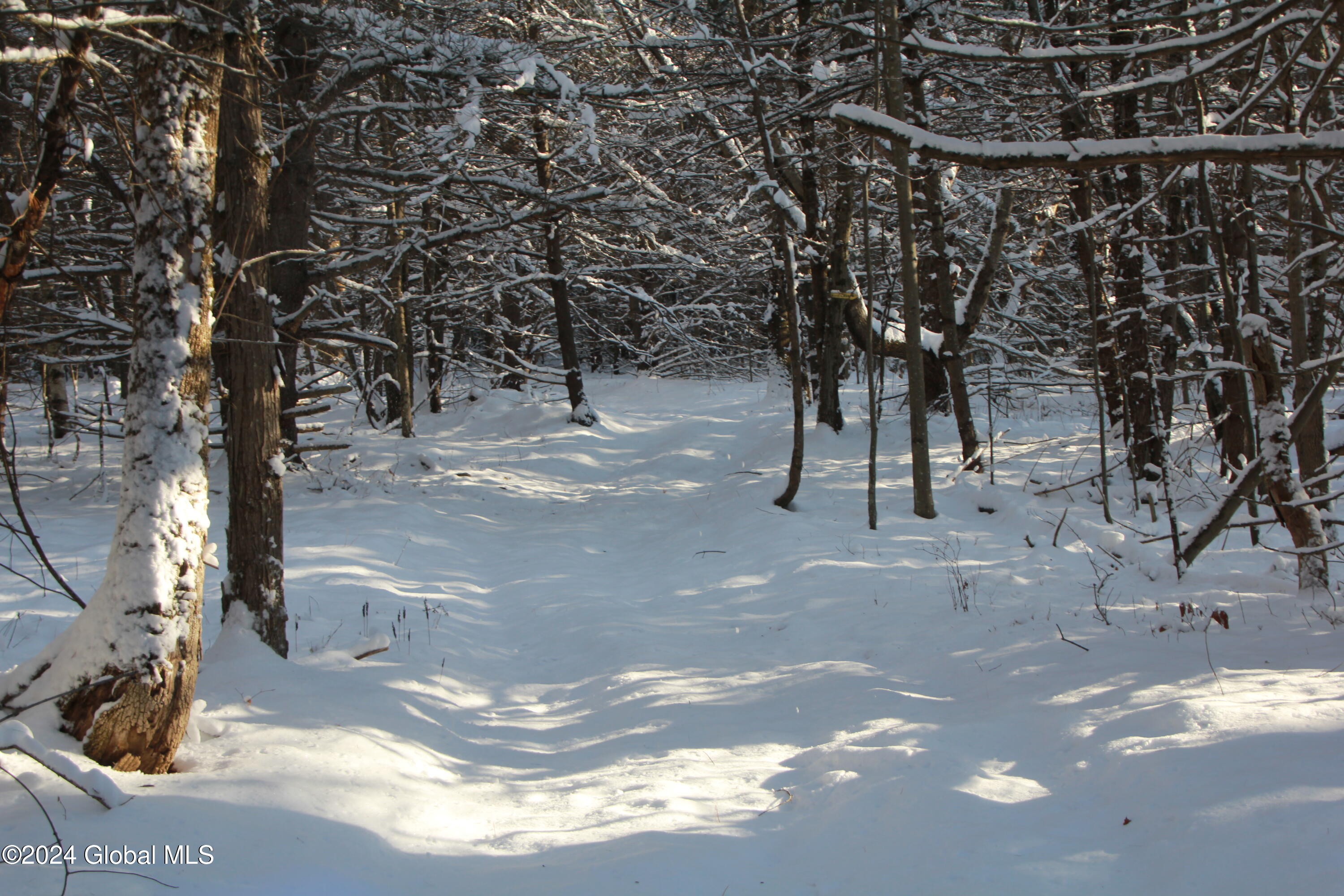 L11 Bassler Road Middleburgh, NY 12122 - Photo 8 of 15 IMG_3119