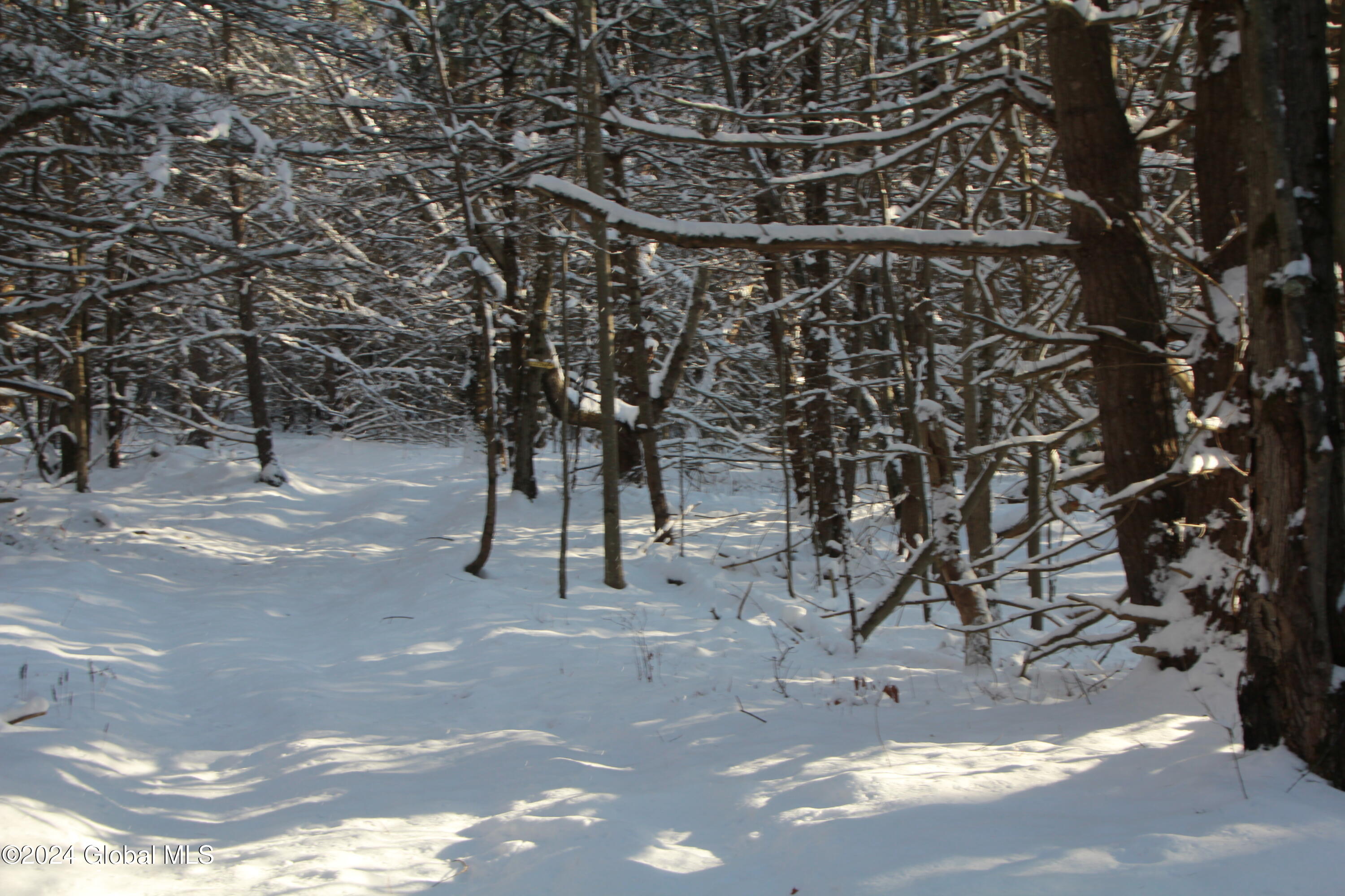 L11 Bassler Road Middleburgh, NY 12122 - Photo 9 of 15 IMG_3120