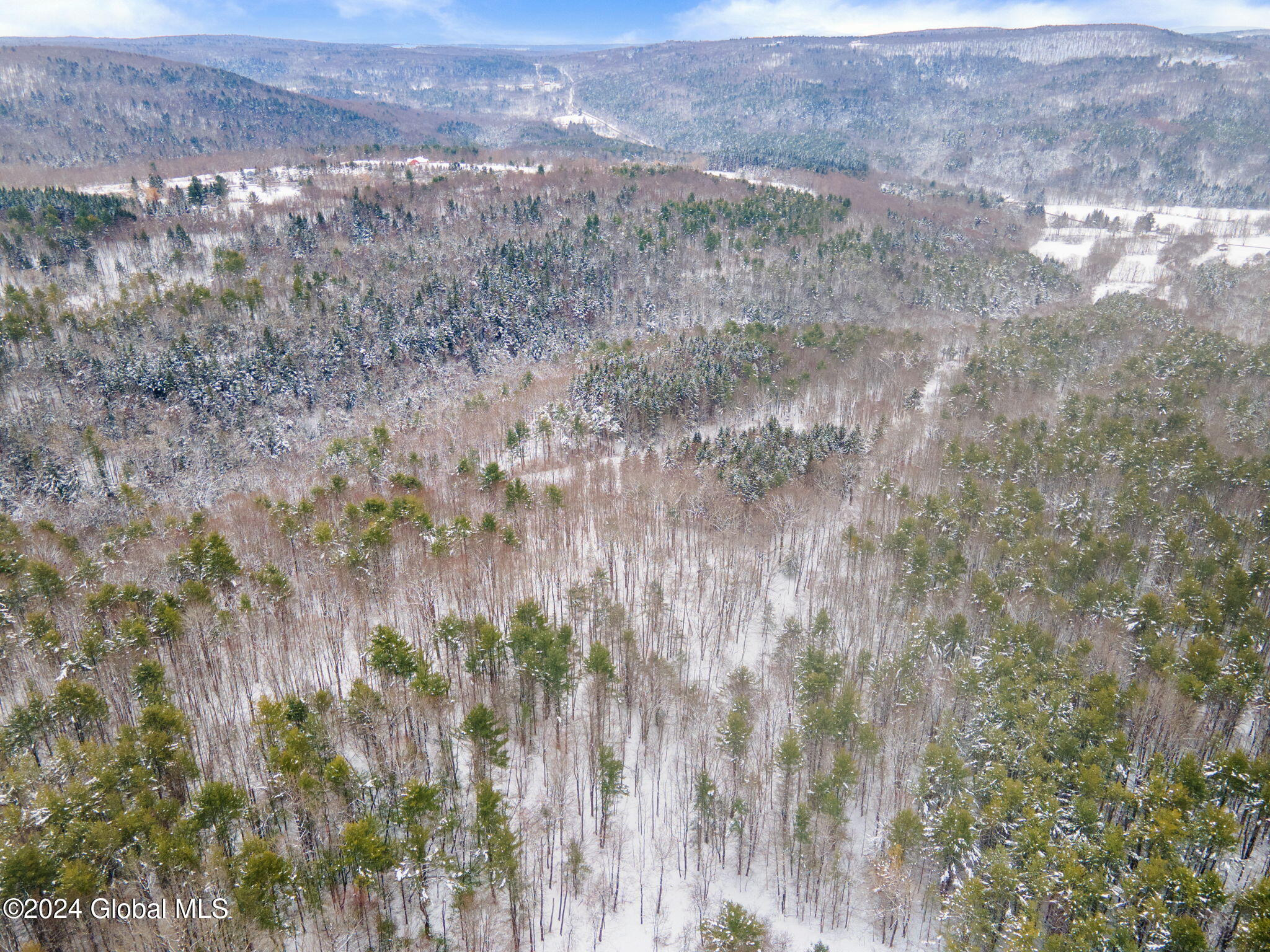 L11 Bassler Road Middleburgh, NY 12122 - Photo 10 of 15 3-BasslerRd_03