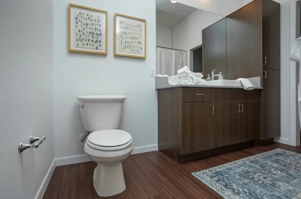 a bathroom with a sink and a toilet