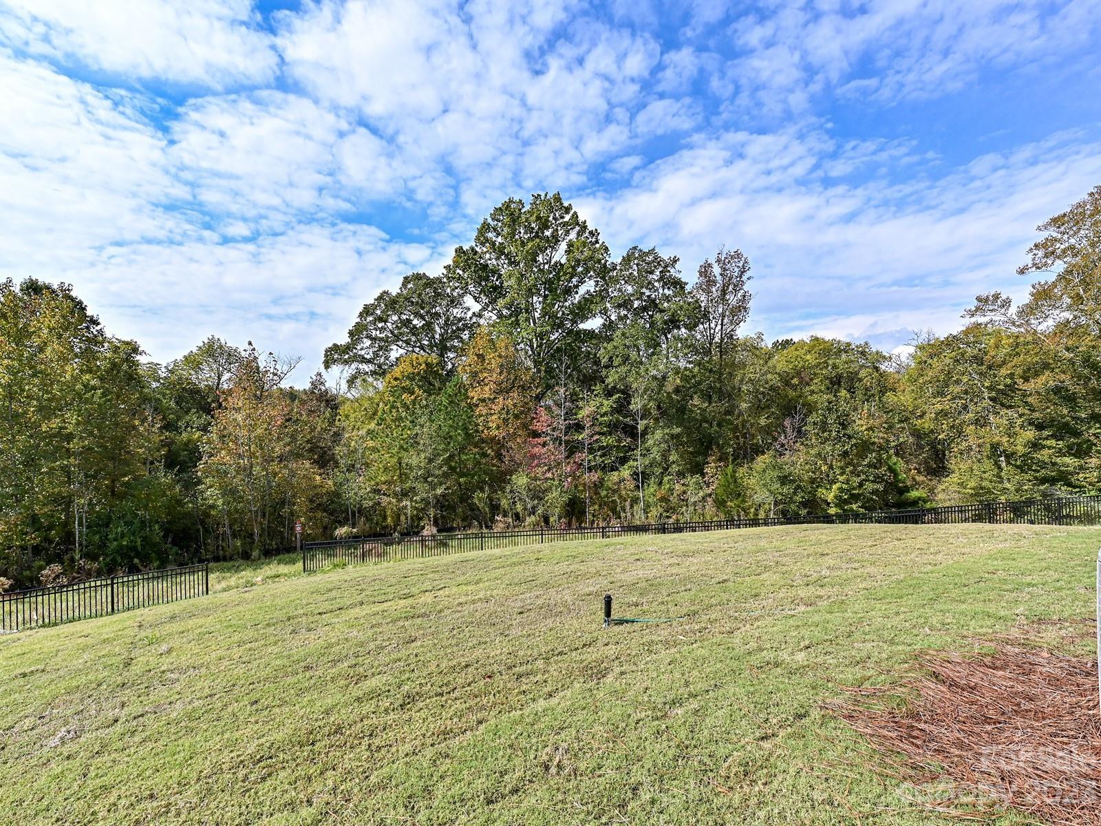 664 Citriadora Street Fort Mill, SC 29715 - Photo 23 of 27 a view of a field with an trees