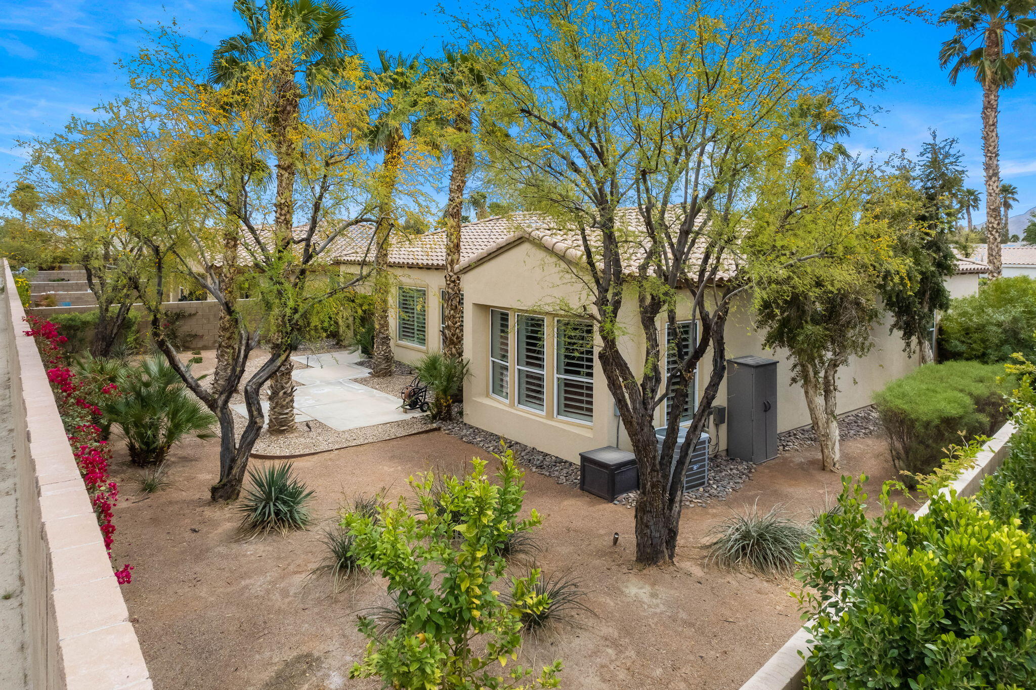 a view of a yard with plants and trees