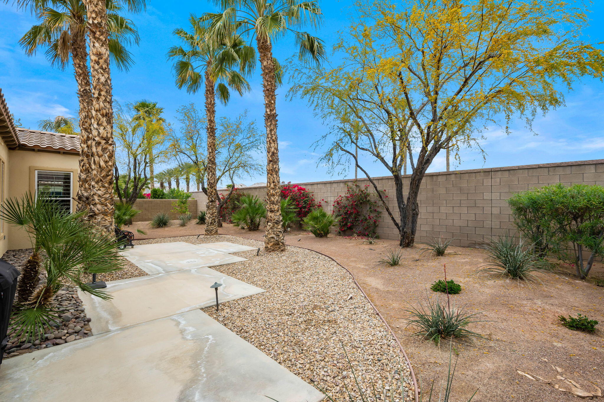 81768 Daniel Drive La Quinta, CA 92253 - Photo 33 of 81 a view of a backyard with a garden