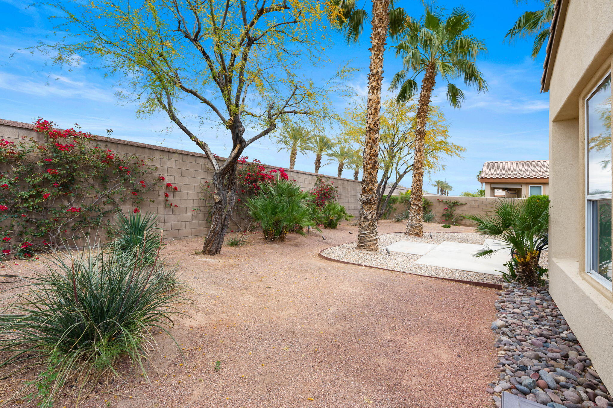 81768 Daniel Drive La Quinta, CA 92253 - Photo 35 of 81 a view of a yard with plants and trees