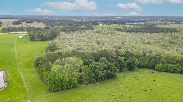 $200,000 | Tbd Northwest Hawks Avenue, Greenville, FL 32331