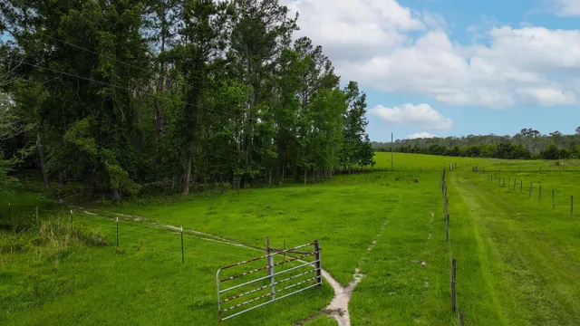 $200,000 | Tbd Northwest Hawks Avenue, Greenville, FL 32331