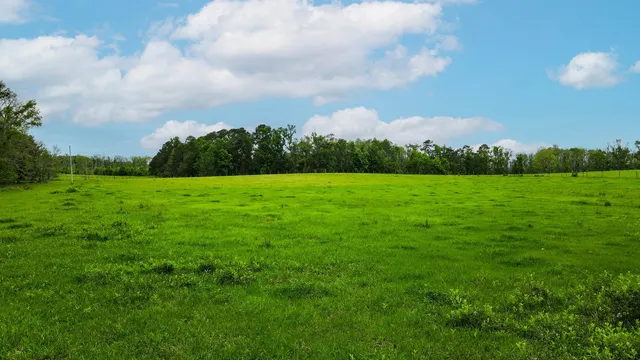 $200,000 | Tbd Northwest Hawks Avenue, Greenville, FL 32331