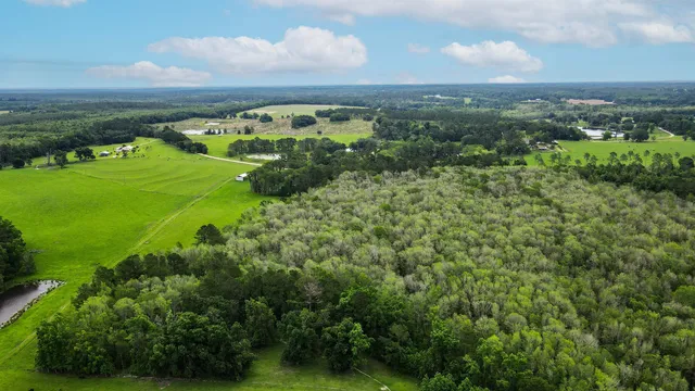 $200,000 | Tbd Northwest Hawks Avenue, Greenville, FL 32331