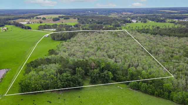 $200,000 | Tbd Northwest Hawks Avenue, Greenville, FL 32331