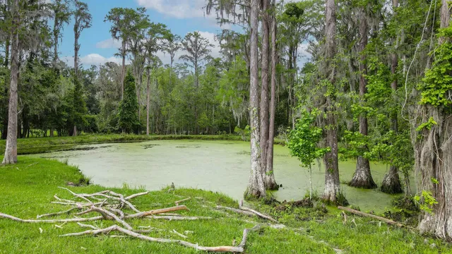 $200,000 | Tbd Northwest Hawks Avenue, Greenville, FL 32331