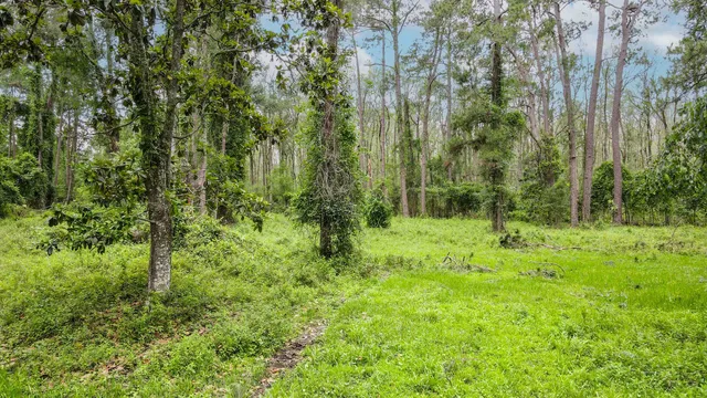 $200,000 | Tbd Northwest Hawks Avenue, Greenville, FL 32331