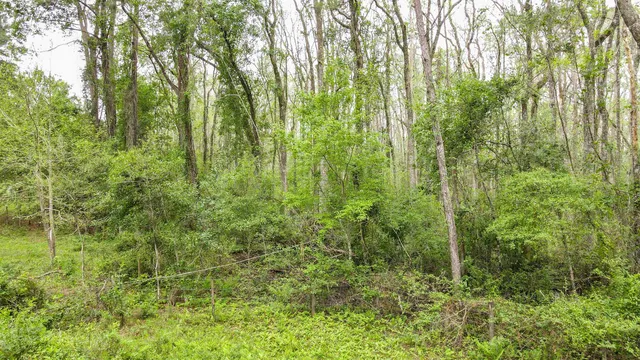 $200,000 | Tbd Northwest Hawks Avenue, Greenville, FL 32331