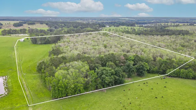 $200,000 | Tbd Northwest Hawks Avenue, Greenville, FL 32331