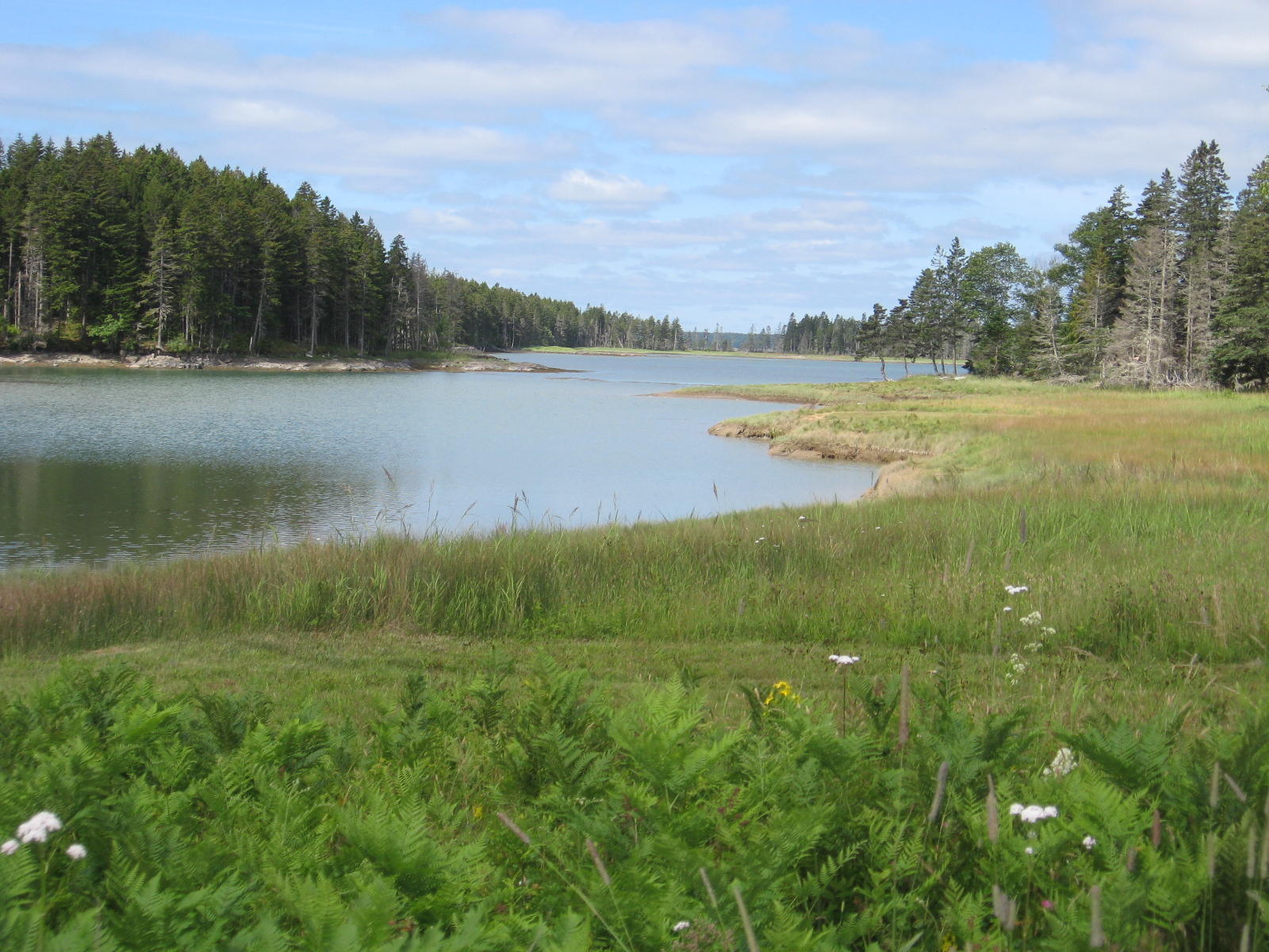 22 Marsh Harbor Road Addison, ME 04606 - Photo 3 of 33 IMG_0001