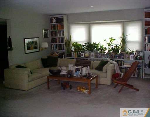 22 Chandler Road Edison, NJ 08820 - Photo 5 of 8 a living room with furniture and a potted plant