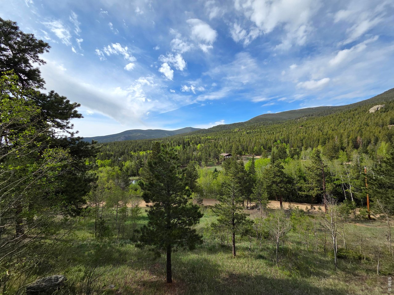 328 North Skinner Road Allenspark, CO 80510 - Photo 12 of 41 View from other side of home