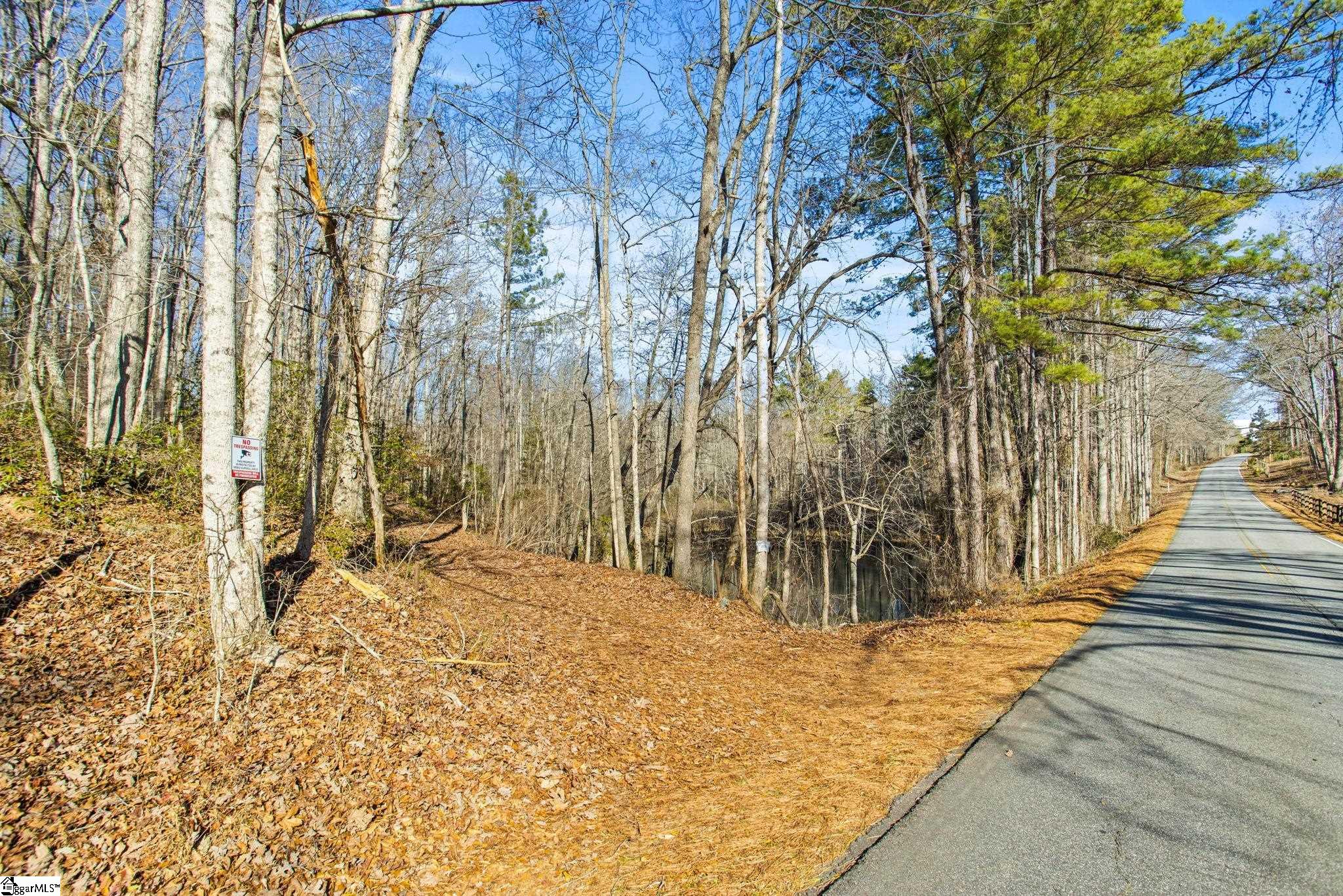 1214 Motlow Creek Road Campobello, SC 29322 - Photo 11 of 17