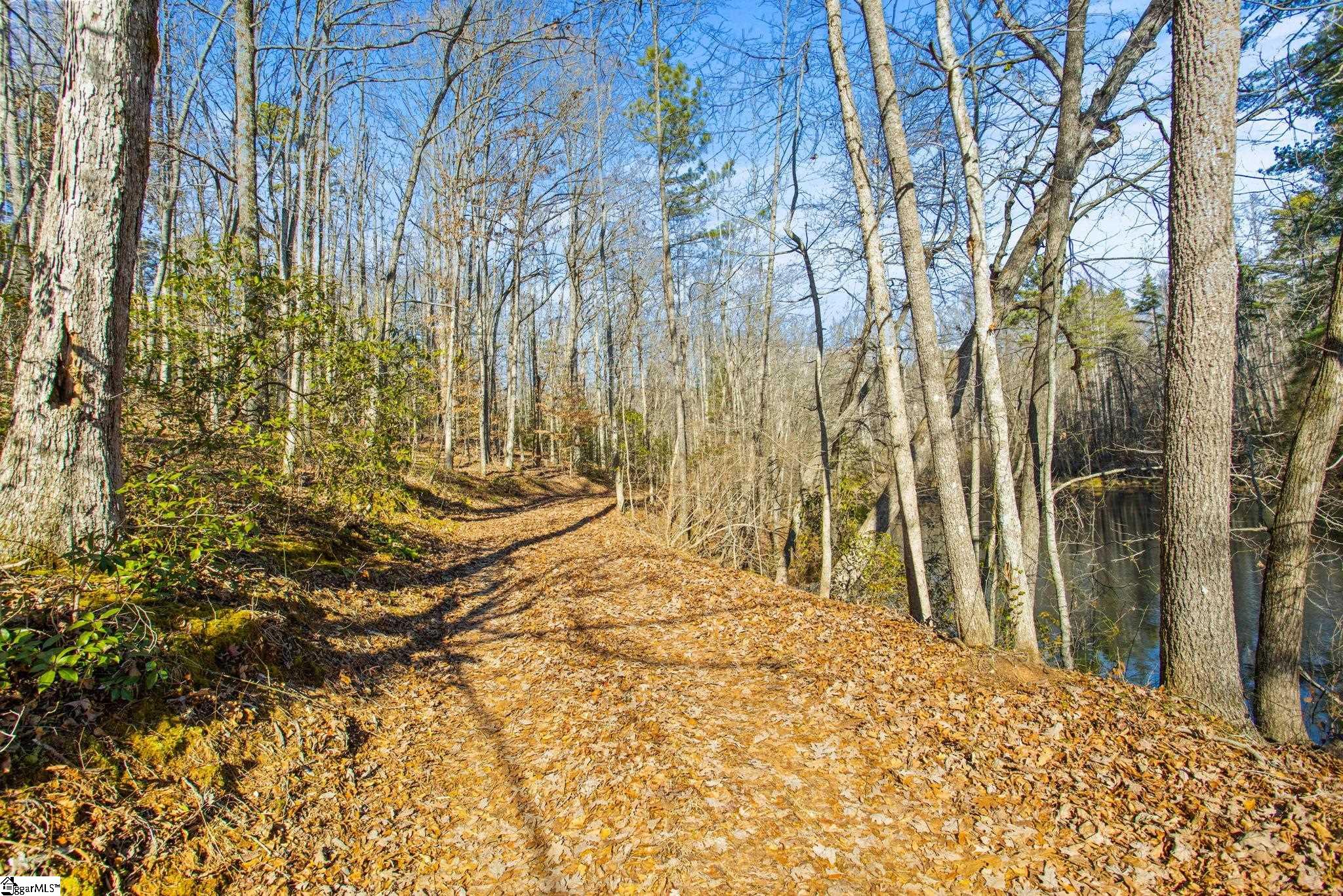 1214 Motlow Creek Road Campobello, SC 29322 - Photo 12 of 17
