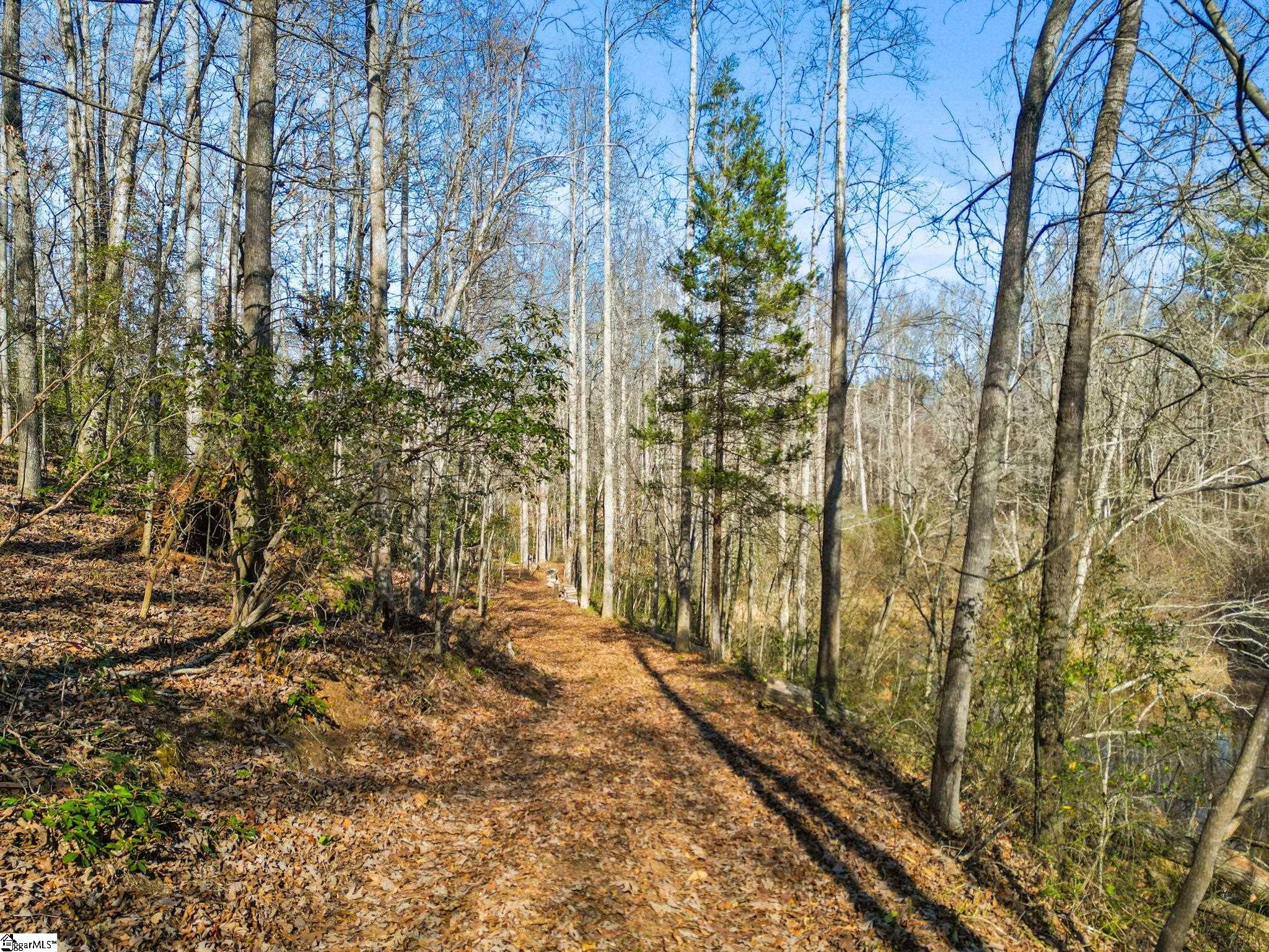 1214 Motlow Creek Road Campobello, SC 29322 - Photo 13 of 17