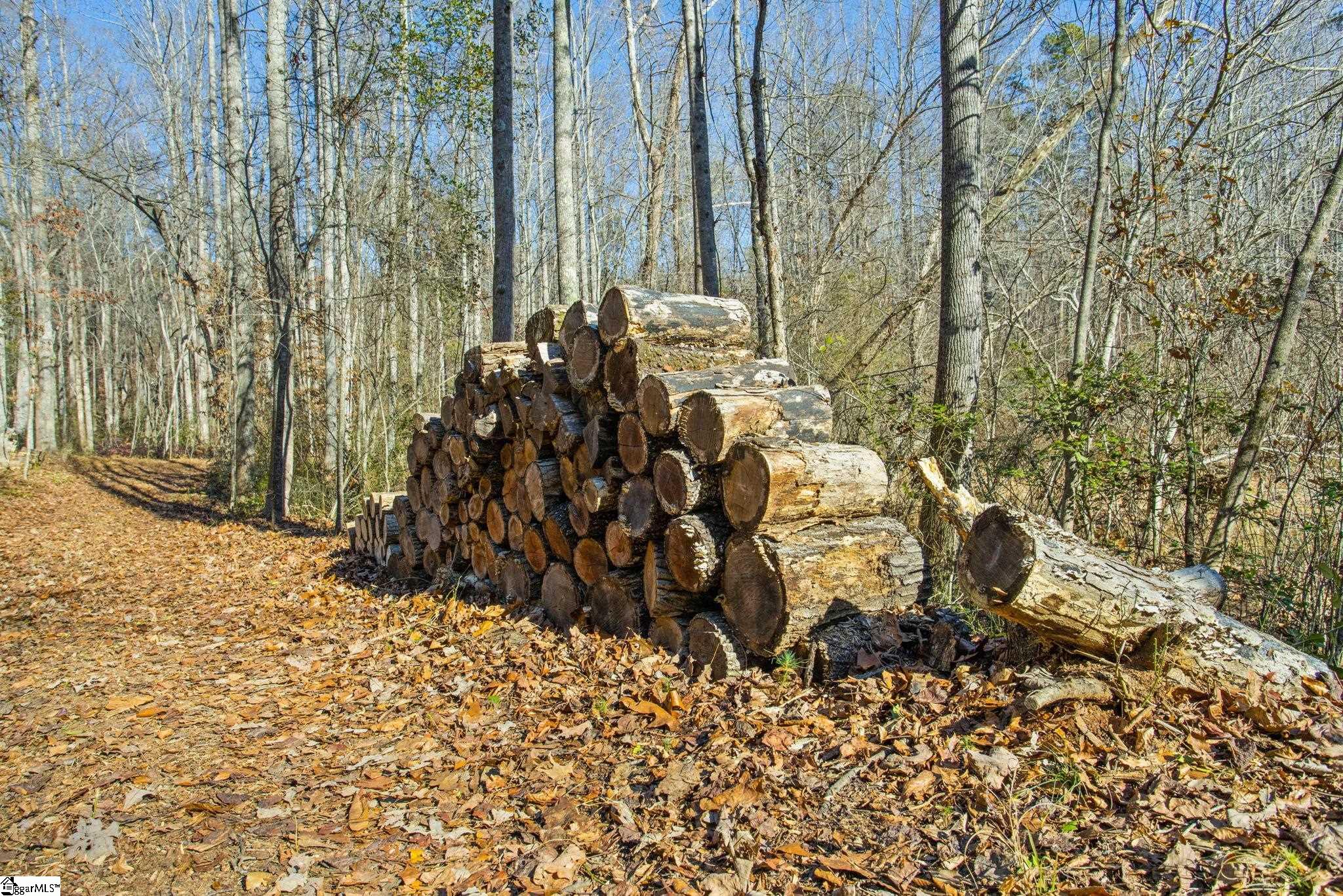 1214 Motlow Creek Road Campobello, SC 29322 - Photo 14 of 17