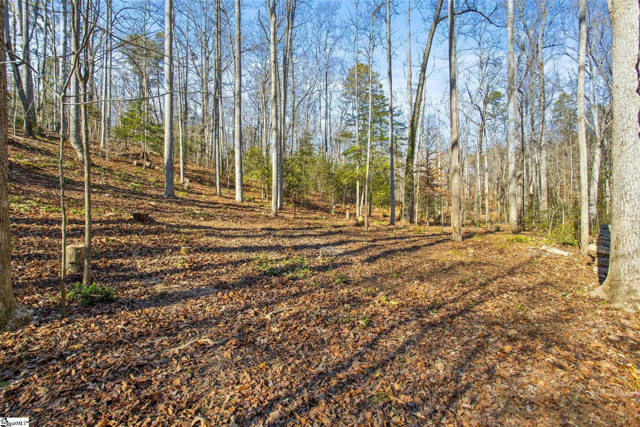 1214 Motlow Creek Road Campobello, SC 29322 - Photo 15 of 17