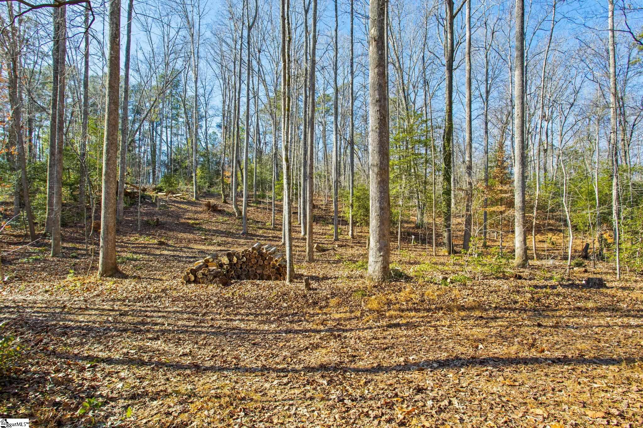 1214 Motlow Creek Road Campobello, SC 29322 - Photo 16 of 17