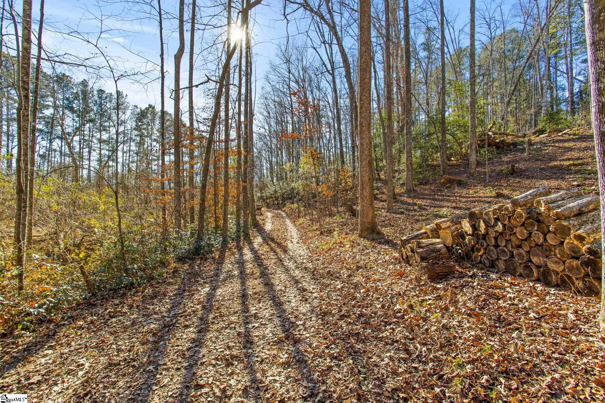 1214 Motlow Creek Road Campobello, SC 29322 - Photo 2 of 17