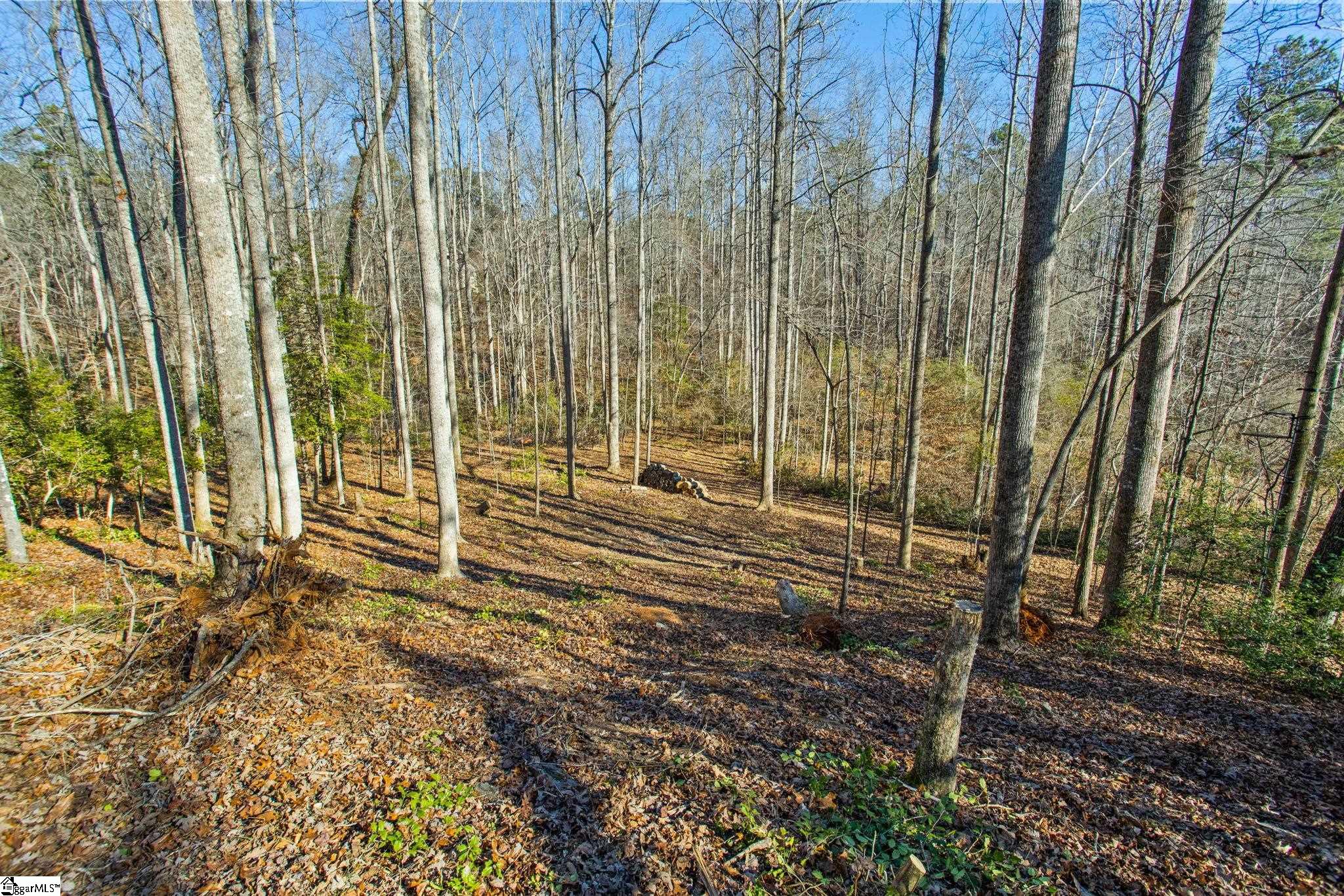 1214 Motlow Creek Road Campobello, SC 29322 - Photo 3 of 17