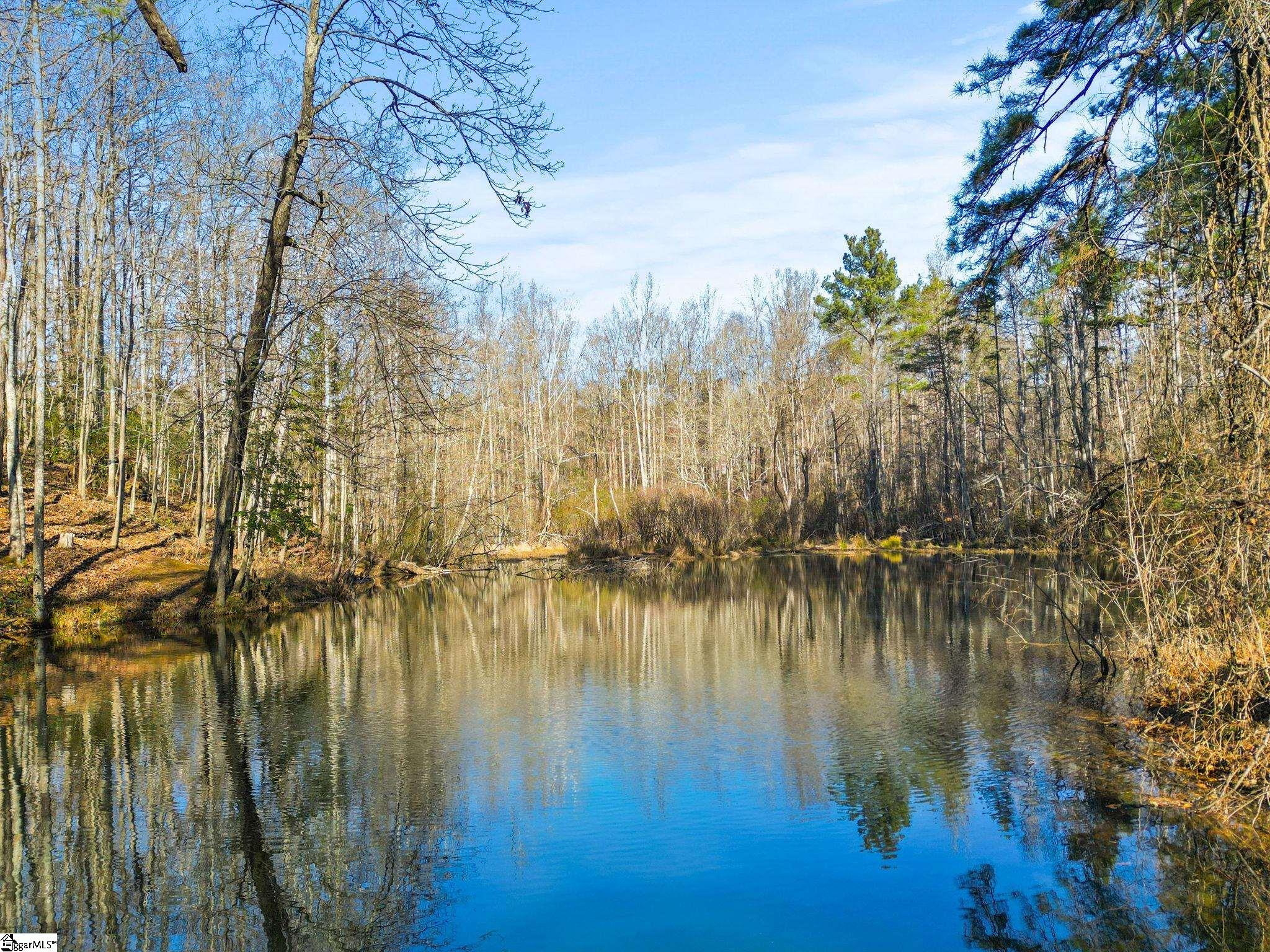 1214 Motlow Creek Road Campobello, SC 29322 - Photo 4 of 17