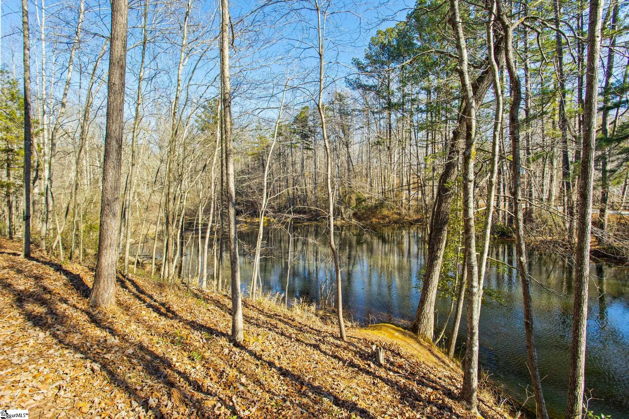 1214 Motlow Creek Road Campobello, SC 29322 - Photo 5 of 17