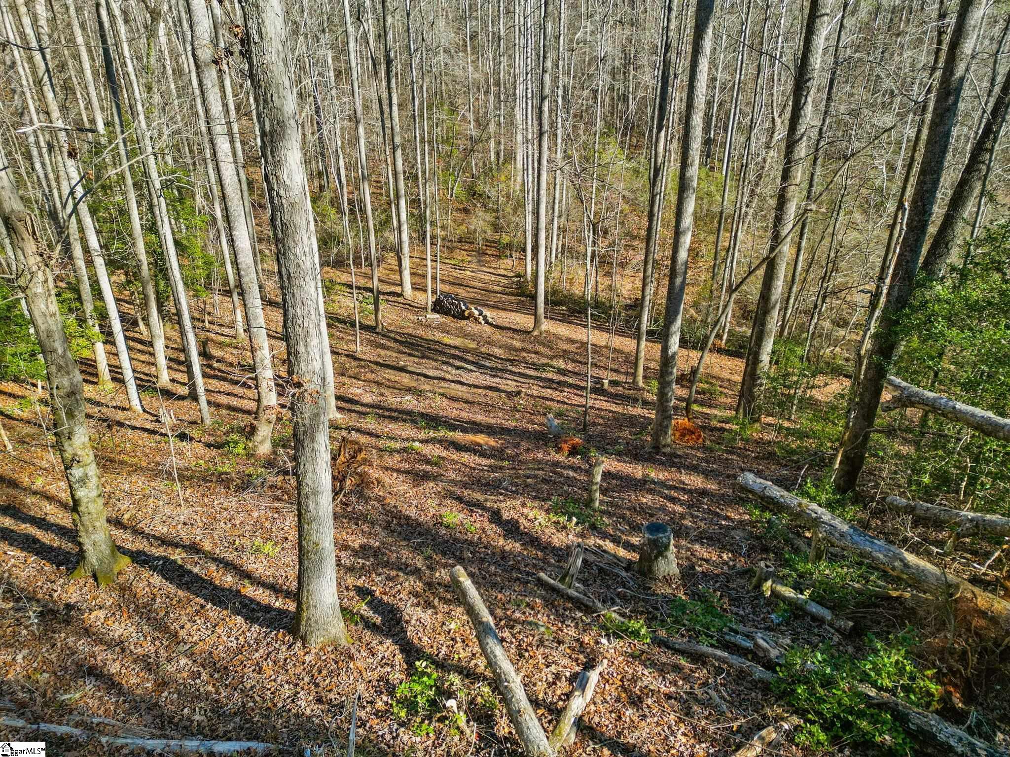 1214 Motlow Creek Road Campobello, SC 29322 - Photo 7 of 17