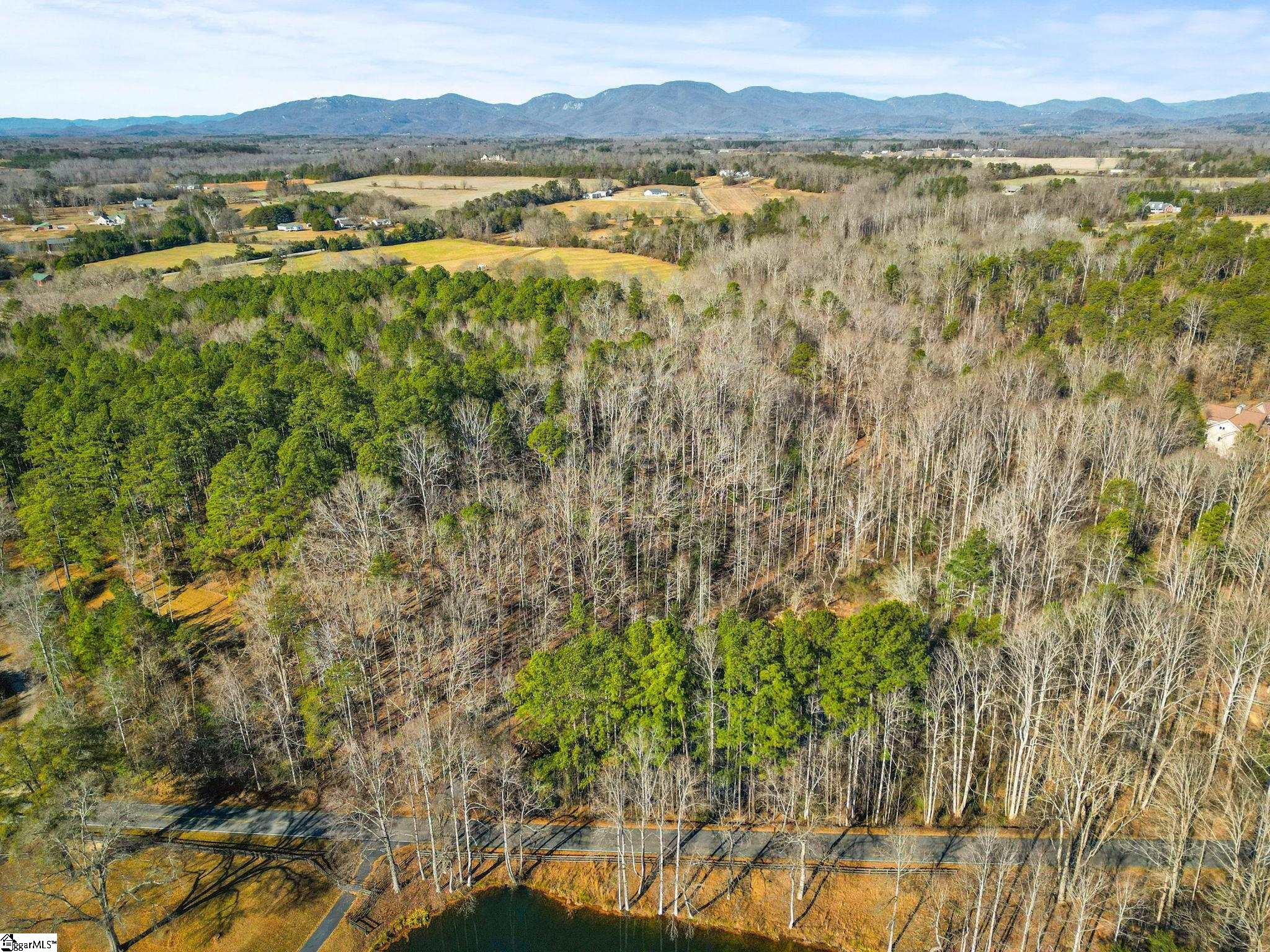 1214 Motlow Creek Road Campobello, SC 29322 - Photo 8 of 17