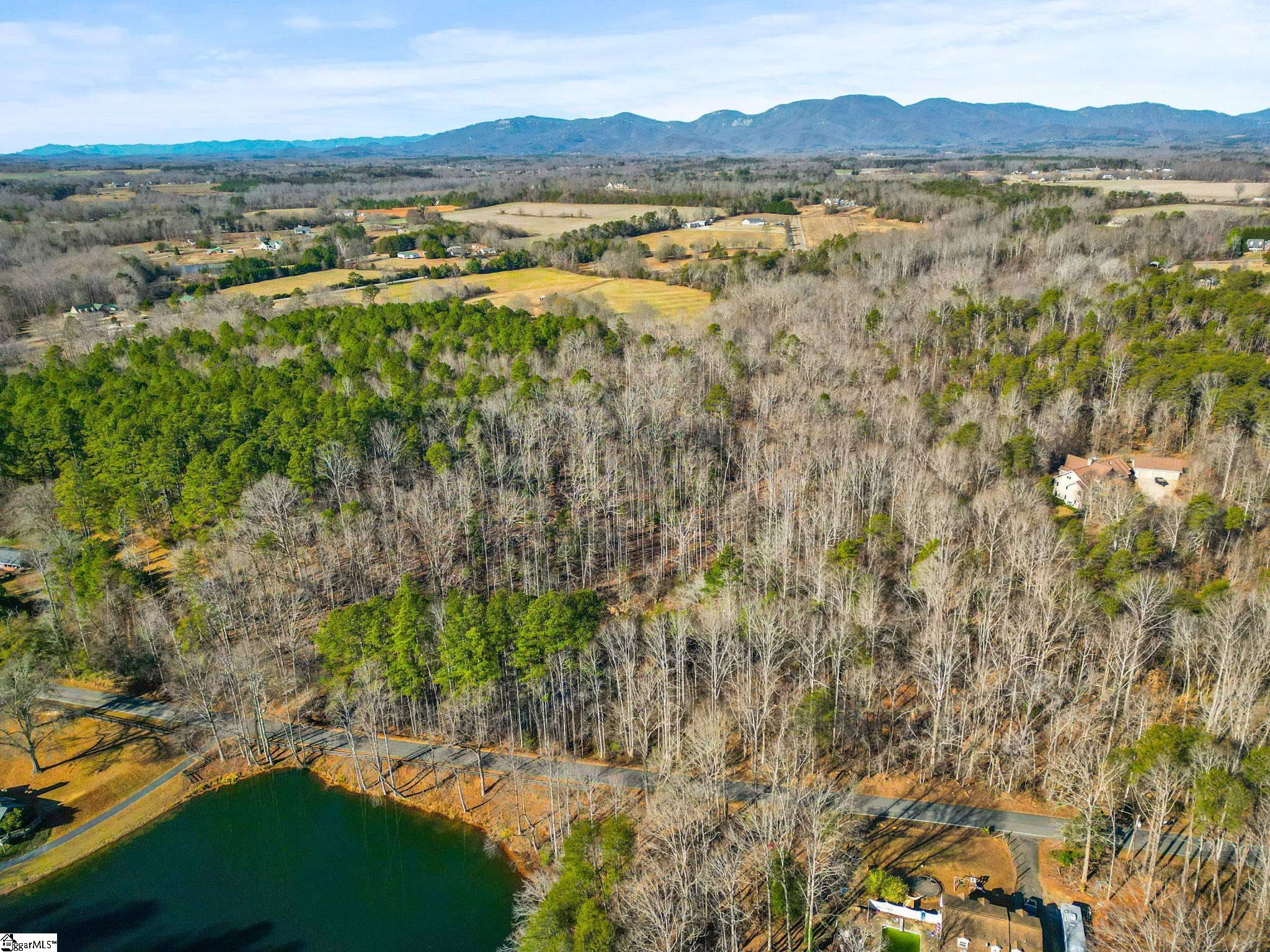 1214 Motlow Creek Road Campobello, SC 29322 - Photo 9 of 17