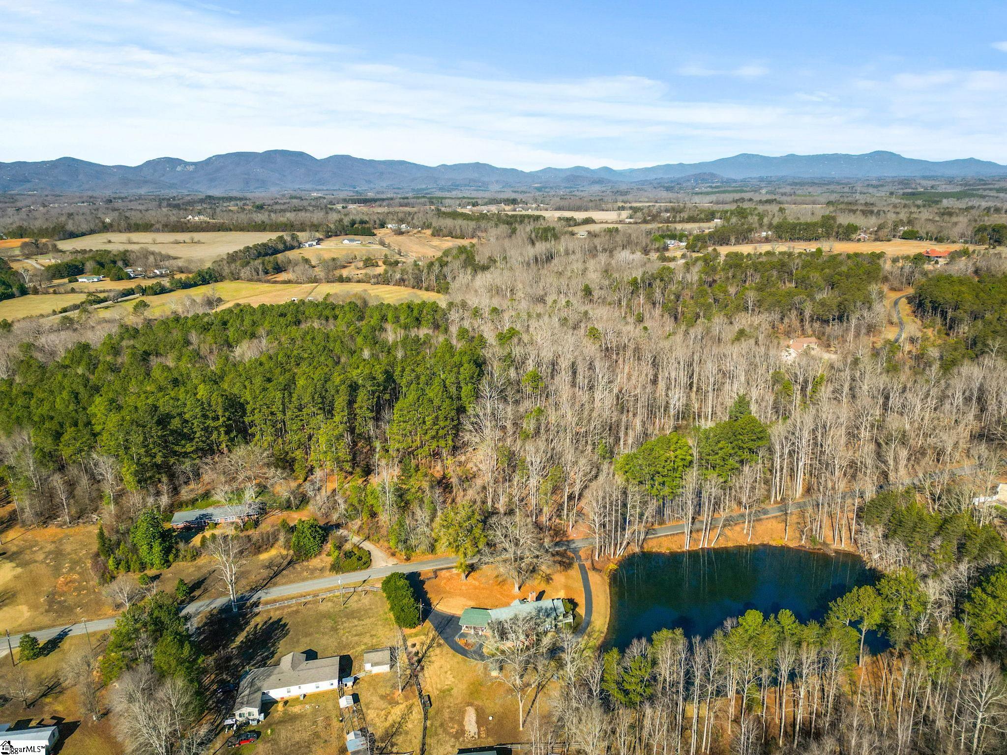 1214 Motlow Creek Road Campobello, SC 29322 - Photo 10 of 17