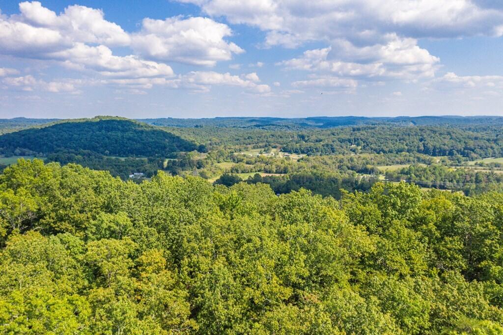 0 Fitch Road Ten Mile, TN 37880 - Photo 8 of 11 20227311_5