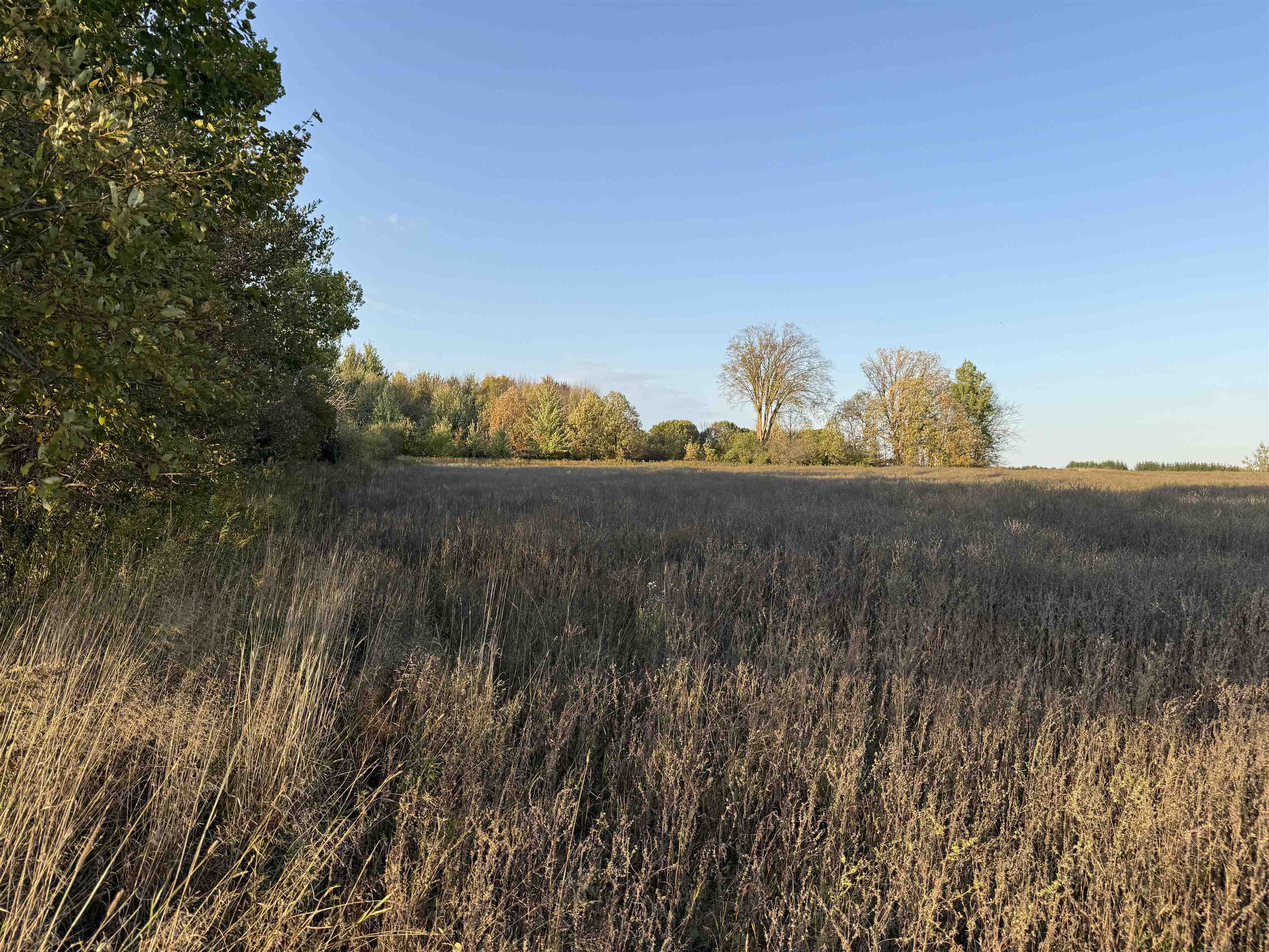 Lot 3 Eau Claire River Road Ringle, WI 54471 - Photo 15 of 19