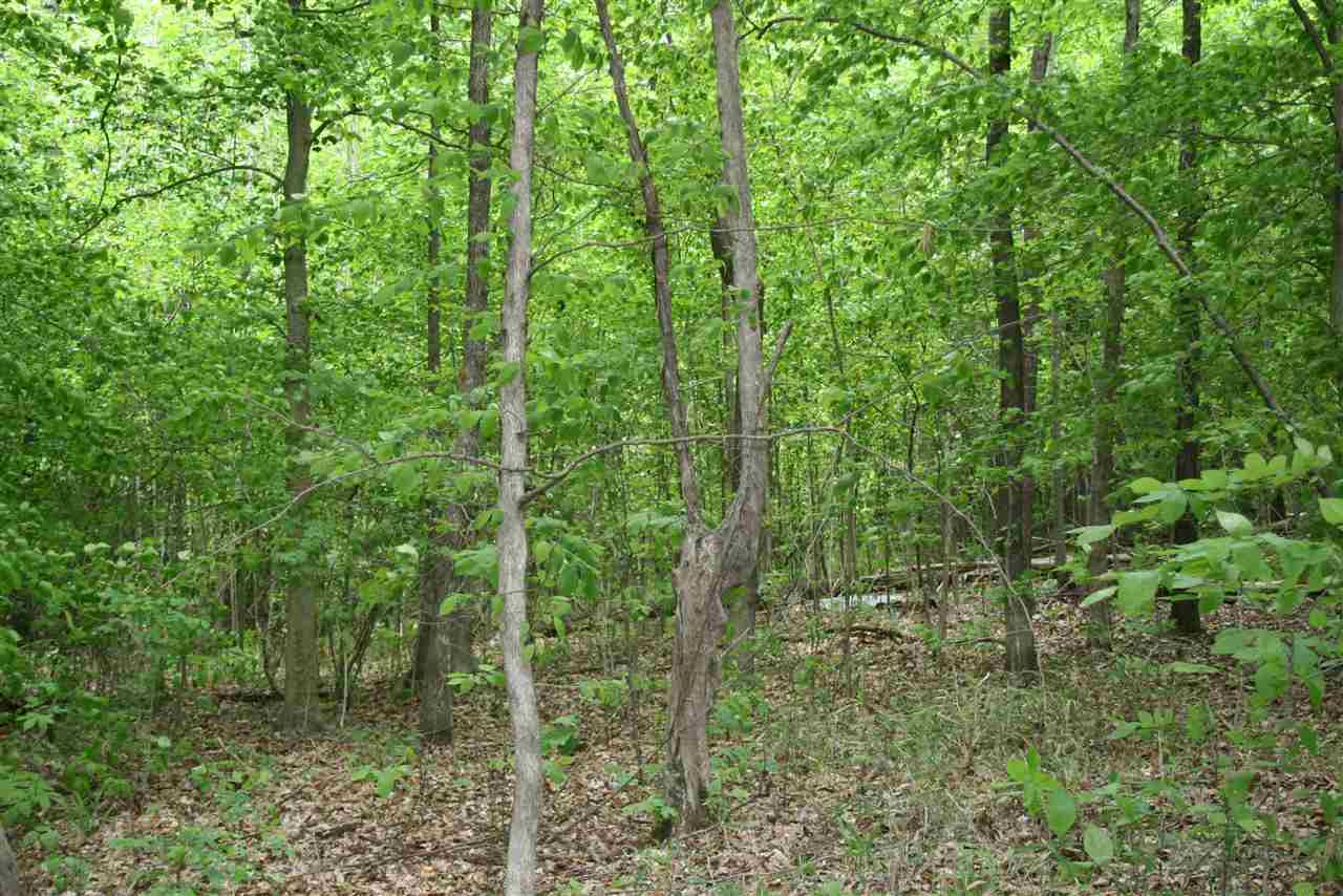 0 Blue Goose Road Huron, TN 38351 - Photo 1 of 1 Photo 1