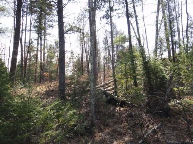 On Schmidtbauer Road Tomahawk, WI 54487 - Photo 15 of 16 Gallery Image 15